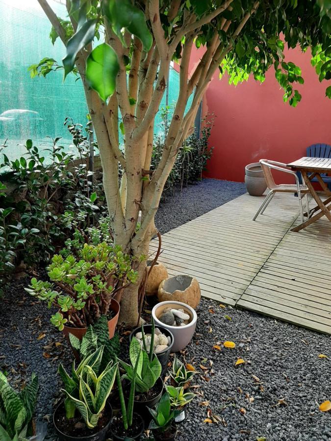 Casa Das Yucas - Patio Apartment Capelas Zewnętrze zdjęcie
