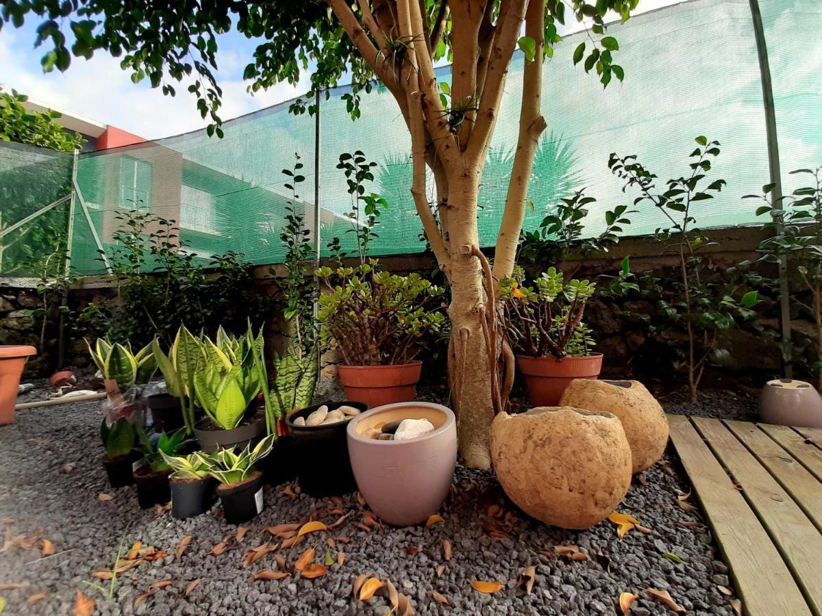 Casa Das Yucas - Patio Apartment Capelas Zewnętrze zdjęcie