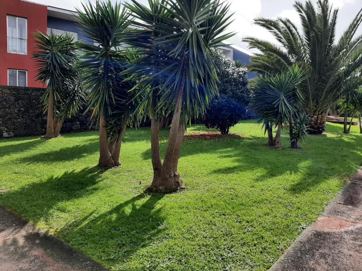 Casa Das Yucas - Patio Apartment Capelas Zewnętrze zdjęcie